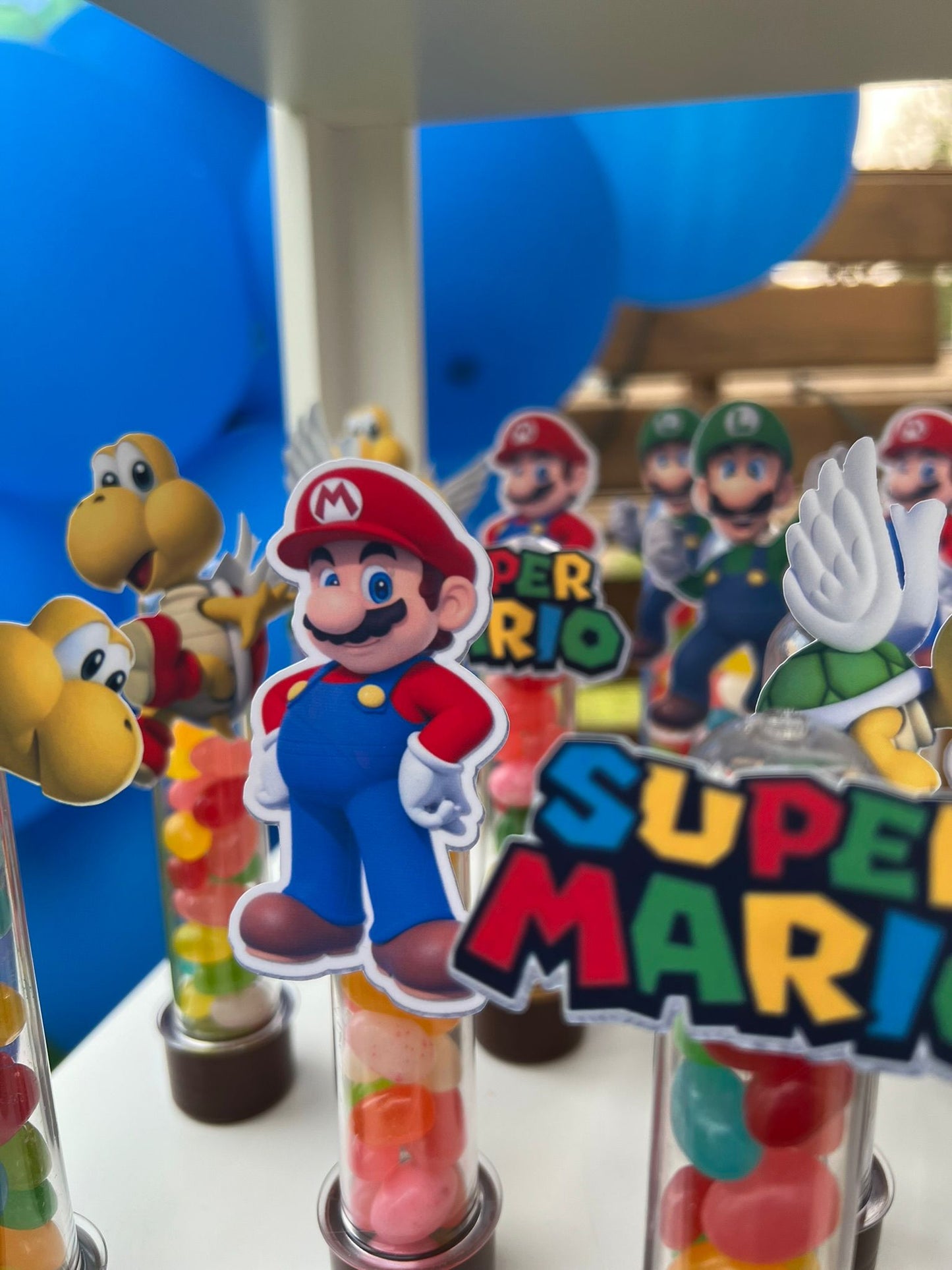 Festa do Super Mario Bross