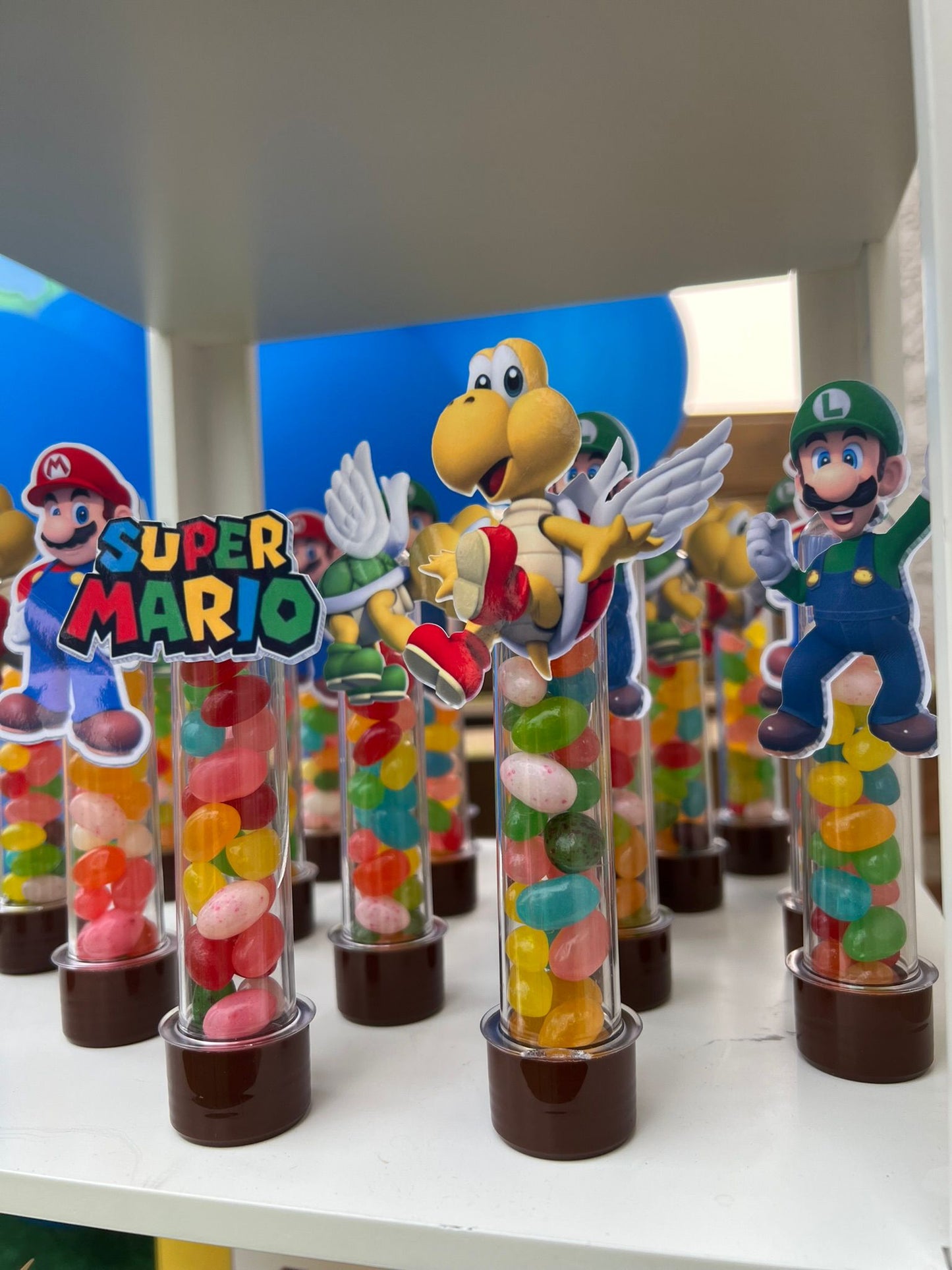 Super Mario Bross Party